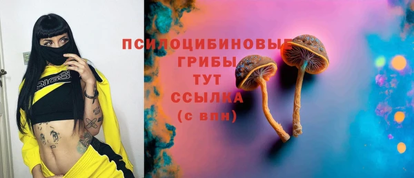 мдпв Инта