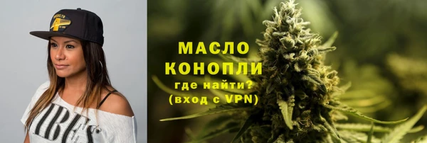 мдпв Инта