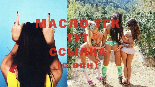 мдпв Инта