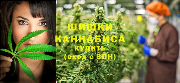 мдпв Инта