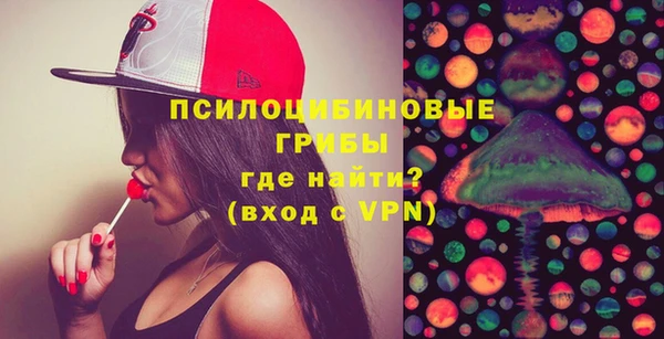мдпв Инта